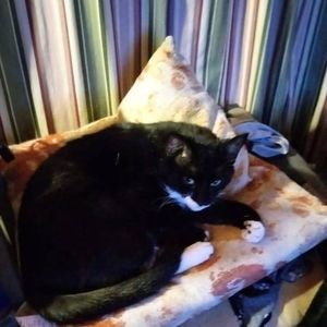 Meet your Posher, Ala